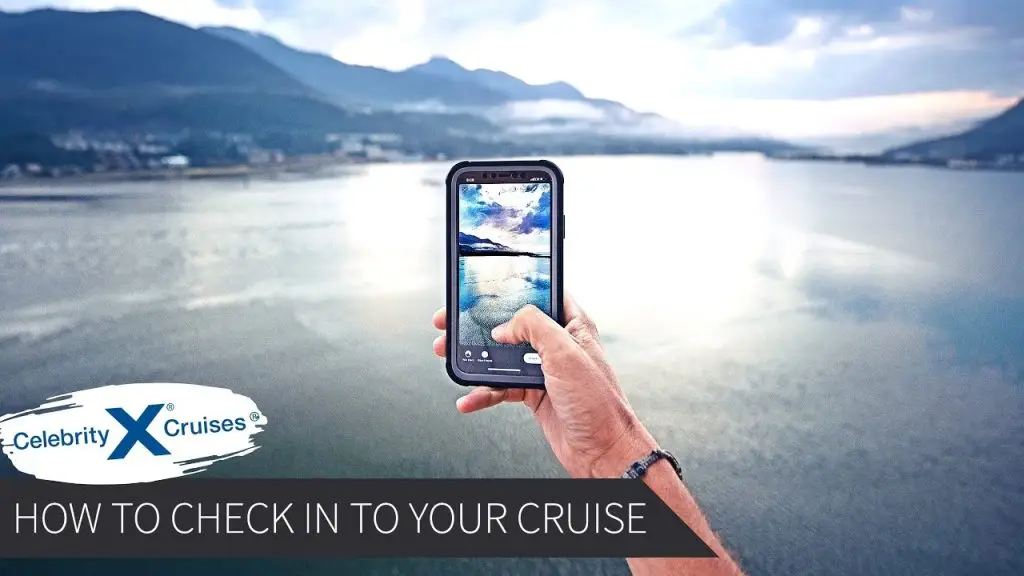 Cruise check-in reference